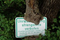 Hungriger Baum?