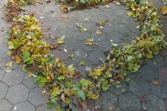 Herbstliche Liebeserklärung