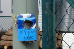 Kippenbox