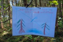 Kippen im Wald