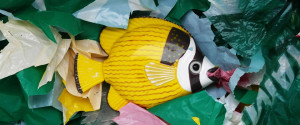 Foto: Plastikfisch im Plastikschrott